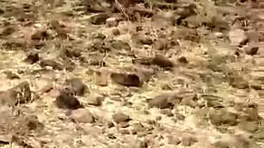 Village girl fucked in open by local guys