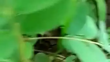 Local Desi Fucking Outdoor Sex Video